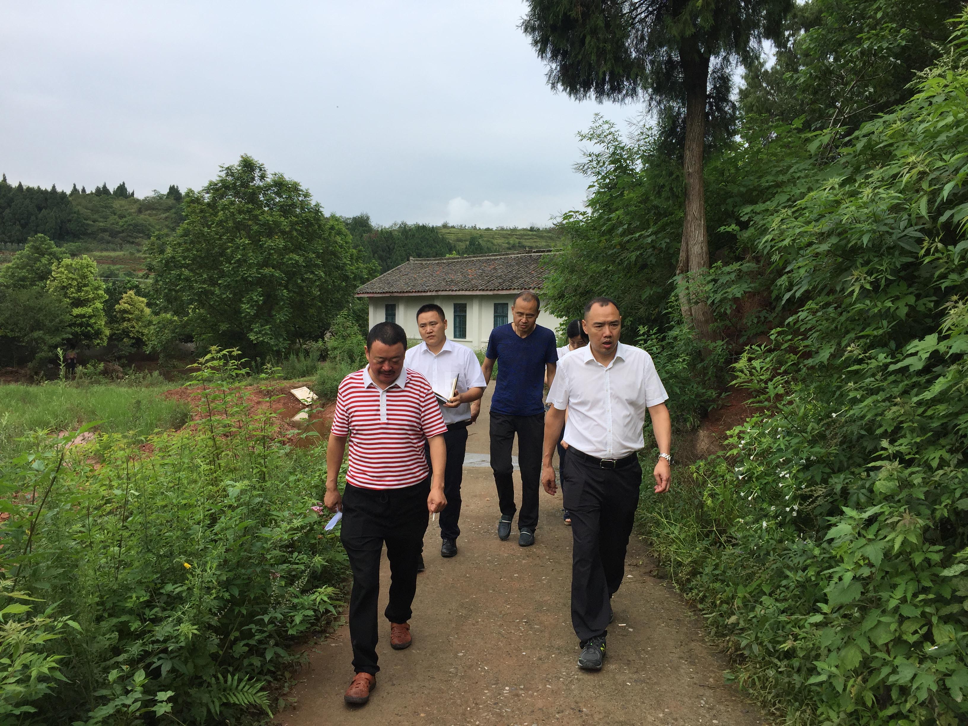 微信圖片_20180801152115.jpg 微信圖片_20180801152115.jpg